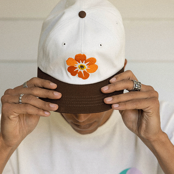 Short 2024 brim snapback